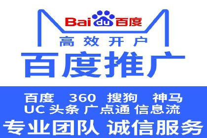 百度竞价与搜索引擎优化（SEO）的协同效应案例